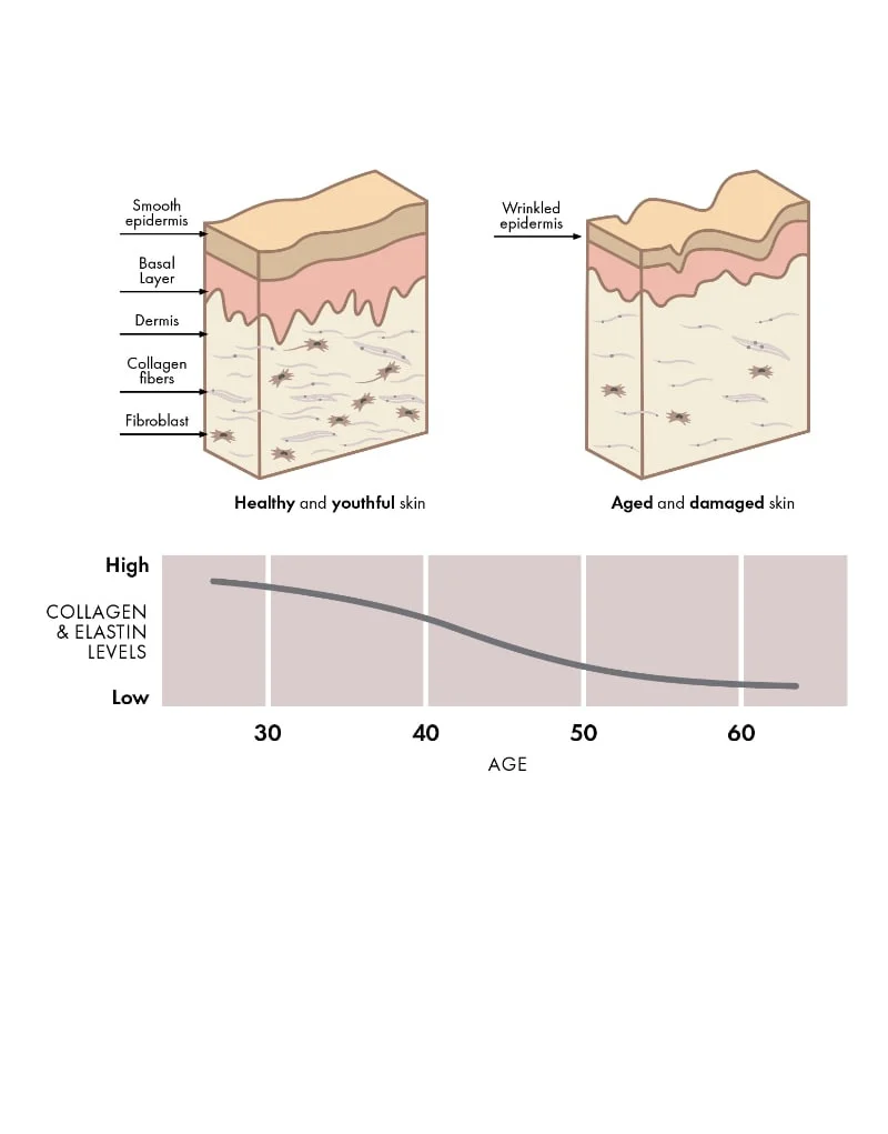 Hand-Rejuv-info Hand-Rejuv-info